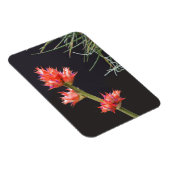 Magnet Flexible Fleurs de broméliade et tige (Côté Droit)
