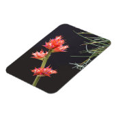 Magnet Flexible Fleurs de broméliade et tige (Côté Gauche)