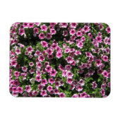 Magnet Flexible Fleurs de buisson rose Housse de jardin Phlox (Horizontal)