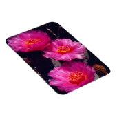 Magnet Flexible Fleurs de Cactus Beavertail 2 (Côté Droit)