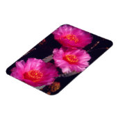Magnet Flexible Fleurs de Cactus Beavertail 2 (Côté Gauche)