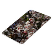 Magnet Flexible Fleurs de cerisier aimant (Côté Gauche)