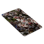 Magnet Flexible Fleurs de cerisier aimant (Côté Droit)
