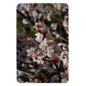 Magnet Flexible Fleurs de cerisier aimant (Vertical)