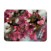 Magnet Flexible Fleurs de cerisiers à Hawaii (Horizontal)