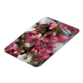 Magnet Flexible Fleurs de cerisiers à Hawaii (Côté Gauche)