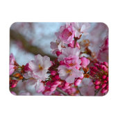 Magnet Flexible Fleurs de cerisiers roses (Horizontal)