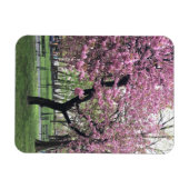 Magnet Flexible Fleurs de cerisiers roses printemps New York City (Horizontal)