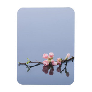 Magnet Flexible Fleurs de cerisiers sur l'eau
