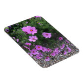 Magnet Flexible Fleurs de cosmos avec des galets sur un (Côté Droit)