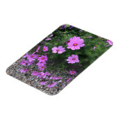 Magnet Flexible Fleurs de cosmos avec des galets sur un (Côté Gauche)