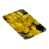 Magnet Flexible Fleurs de Crocus Jaune (Côté Droit)