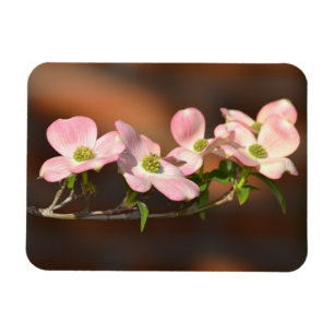 Magnet Flexible Fleurs de Dogwood Rose