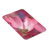 Magnet Flexible Fleurs de Dogwood Rose (Côté Droit)