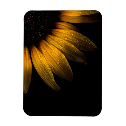 Magnet Flexible Fleurs de jardin 28 tournesol (Vertical)