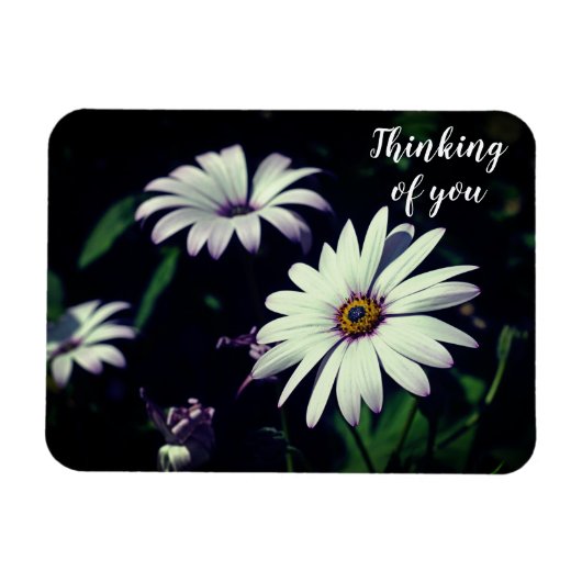 Magnet Flexible Fleurs de Jardin Blanc Penser à vous (Horizontal)