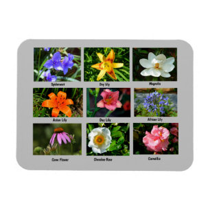 Magnet Flexible Fleurs de jardin vives