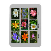 Magnet Flexible Fleurs de jardin vives (Vertical)