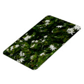 Magnet Flexible Fleurs de jasmin Botanique tropicale florale (Côté Gauche)