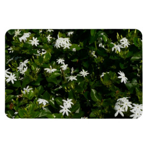 Magnet Flexible Fleurs de jasmin Botanique tropicale florale