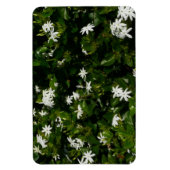 Magnet Flexible Fleurs de jasmin Botanique tropicale florale (Vertical)