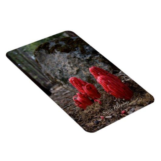 Magnet Flexible Fleurs de neige (Côté Droit)