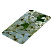 Magnet Flexible Fleurs de poires en fleurs (Côté Gauche)