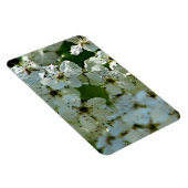 Magnet Flexible Fleurs de poires en fleurs (Côté Droit)