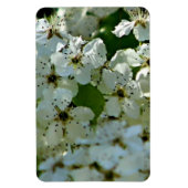 Magnet Flexible Fleurs de poires en fleurs (Vertical)