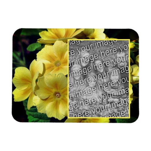 Magnet Flexible Fleurs de Primrose Jaune Créez votre propre photo (Horizontal)