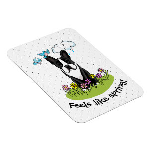 Magnet Flexible Fleurs de printemps Boston Terrier Chien (noir) mi