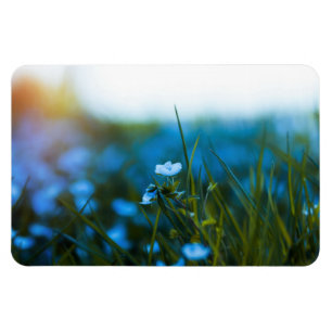Magnet Flexible Fleurs de printemps dans le champ