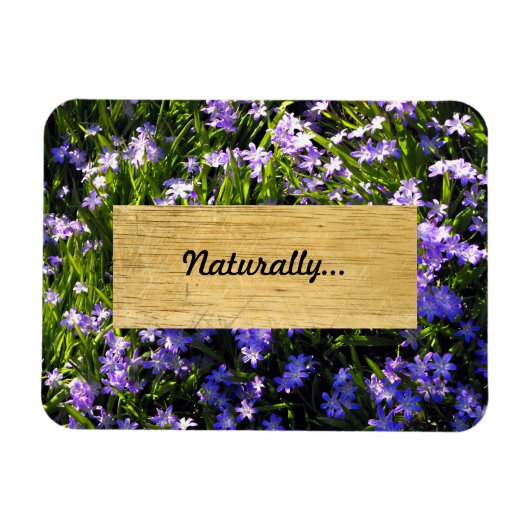 Magnet Flexible Fleurs de printemps de Squill Bleu (Horizontal)