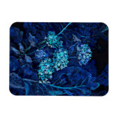 Magnet Flexible Fleurs d'Hydrangea Peinture florale de raifort ble (Horizontal)