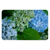 Magnet Flexible Fleurs d'Hydrangée (Horizontal)