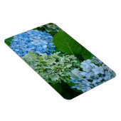 Magnet Flexible Fleurs d'Hydrangée (Côté Droit)