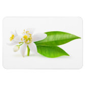 Magnet Flexible Fleurs d'oranger (Horizontal)