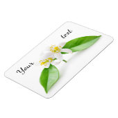 Magnet Flexible Fleurs d'oranger (Côté Gauche)
