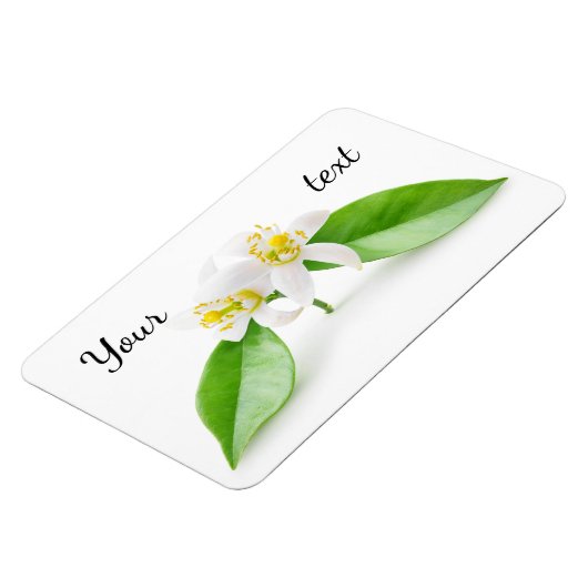Magnet Flexible Fleurs d'oranger (Côté Gauche)