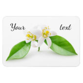 Magnet Flexible Fleurs d'oranger (Horizontal)