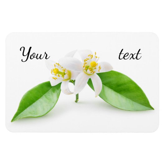 Magnet Flexible Fleurs d'oranger (Horizontal)