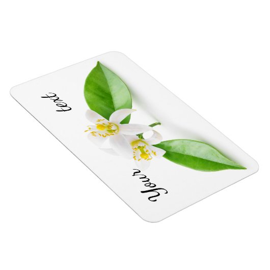 Magnet Flexible Fleurs d'oranger (Côté Droit)