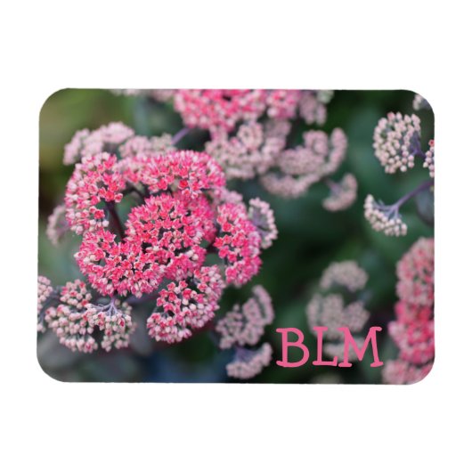Magnet Flexible Fleurs en pierre papillon rose et blanc (Horizontal)