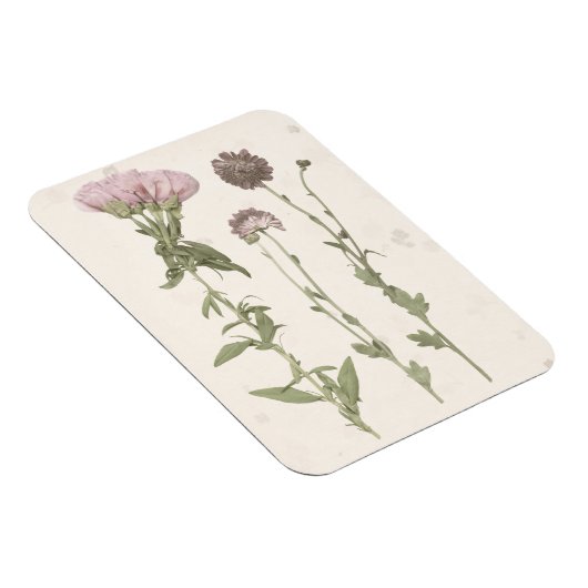 Magnet Flexible Fleurs en rose (Côté Droit)