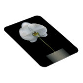 Magnet Flexible Fleurs | Fleur d'orchidées blanches (Côté Droit)