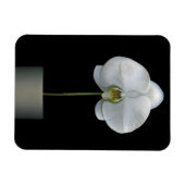 Magnet Flexible Fleurs | Fleur d'orchidées blanches (Horizontal)