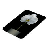 Magnet Flexible Fleurs | Fleur d'orchidées blanches (Côté Gauche)