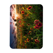 Magnet Flexible Fleurs | Fleur sauvage indien Texas (Vertical)