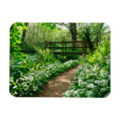 Magnet Flexible Fleurs | Fleurs sauvages blancs en forêt (Horizontal)