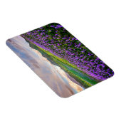 Magnet Flexible Fleurs | Fleurs sauvages californiens (Côté Droit)